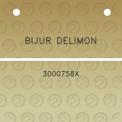 bijur-delimon-3000758x