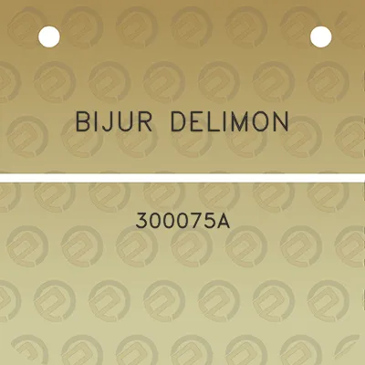 bijur-delimon-300075a