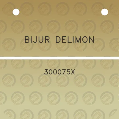 bijur-delimon-300075x