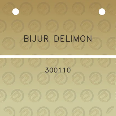 bijur-delimon-300110