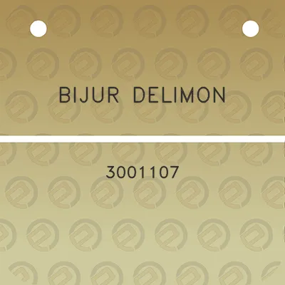 bijur-delimon-3001107