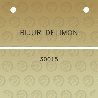 bijur-delimon-30015