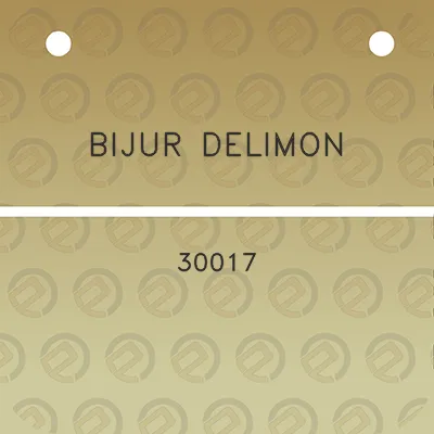 bijur-delimon-30017