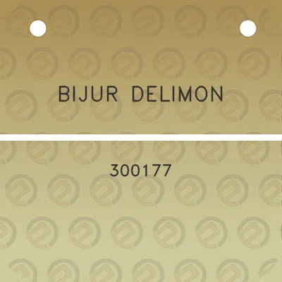 bijur-delimon-300177