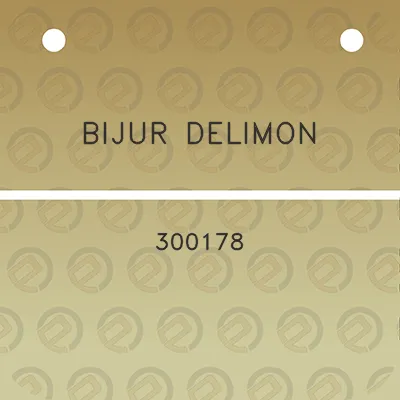 bijur-delimon-300178