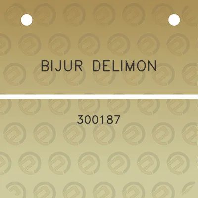 bijur-delimon-300187