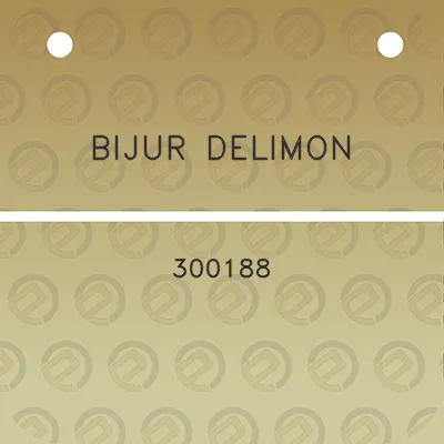 bijur-delimon-300188