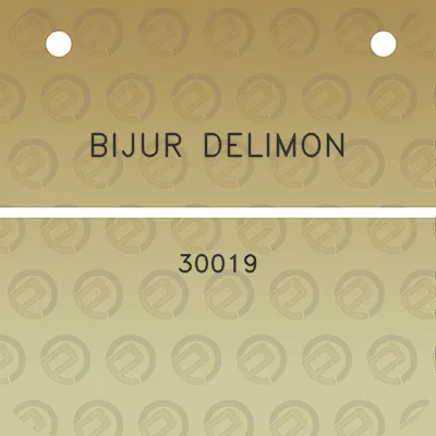 bijur-delimon-30019