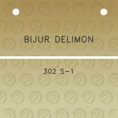 bijur-delimon-302-s-1