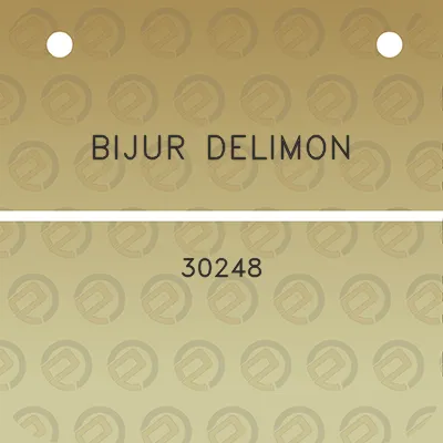 bijur-delimon-30248