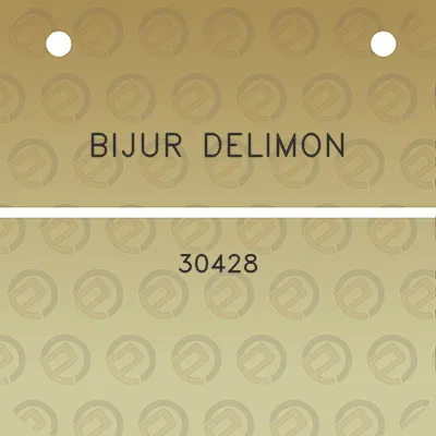 bijur-delimon-30428