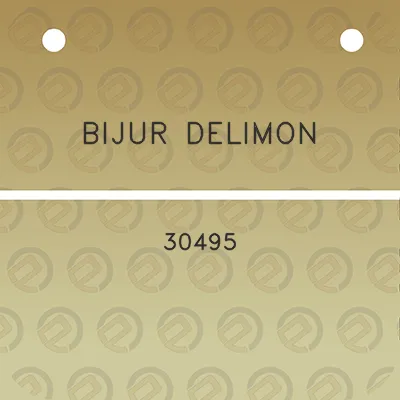 bijur-delimon-30495