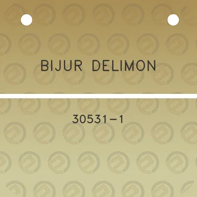 bijur-delimon-30531-1