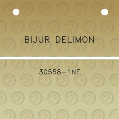 bijur-delimon-30558-1nf