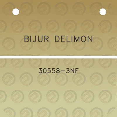 bijur-delimon-30558-3nf