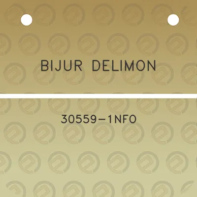 bijur-delimon-30559-1nfo