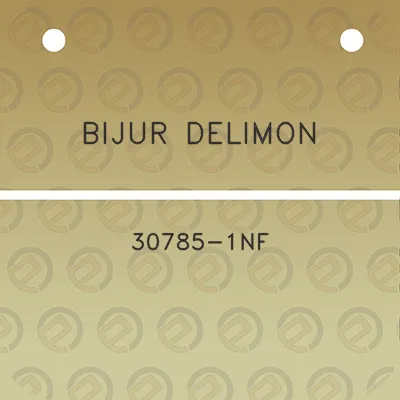 bijur-delimon-30785-1nf