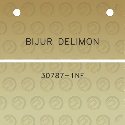 bijur-delimon-30787-1nf