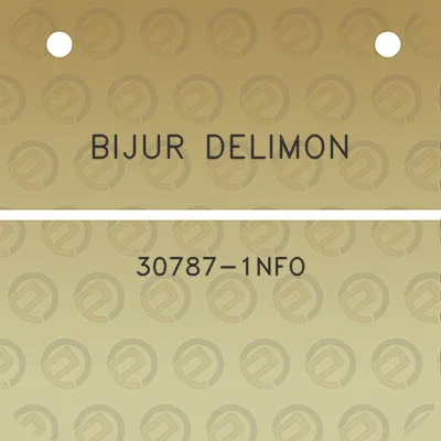 bijur-delimon-30787-1nfo