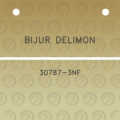 bijur-delimon-30787-3nf