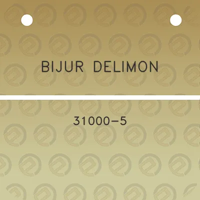 bijur-delimon-31000-5