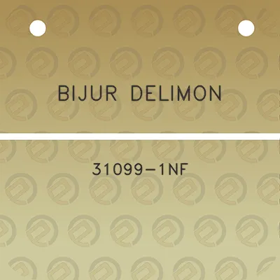 bijur-delimon-31099-1nf