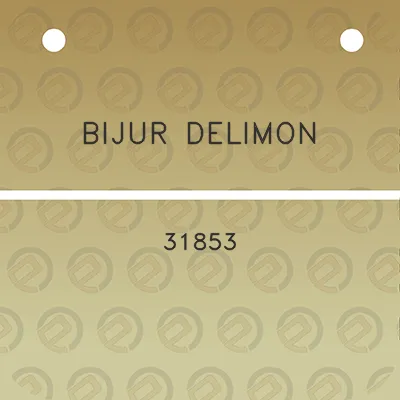 bijur-delimon-31853