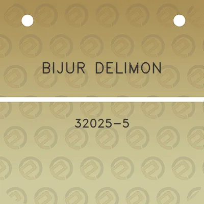 bijur-delimon-32025-5