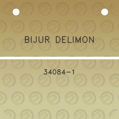 bijur-delimon-34084-1