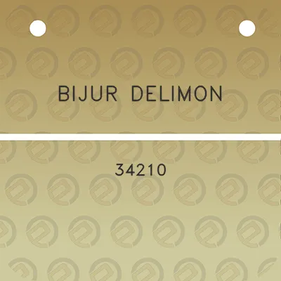 bijur-delimon-34210