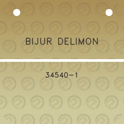 bijur-delimon-34540-1