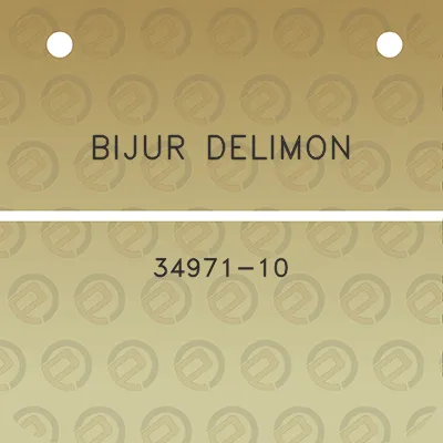 bijur-delimon-34971-10