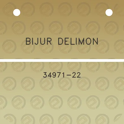 bijur-delimon-34971-22