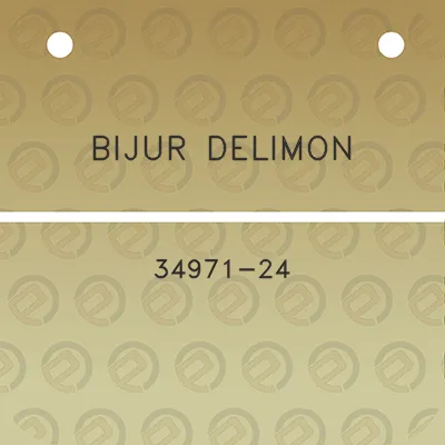 bijur-delimon-34971-24