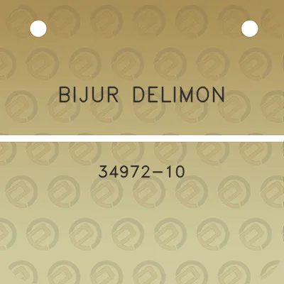 bijur-delimon-34972-10