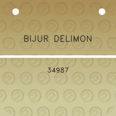 bijur-delimon-34987