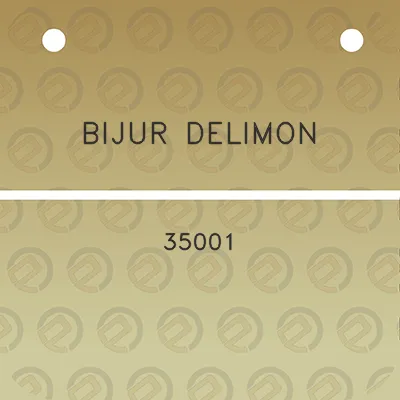 bijur-delimon-35001