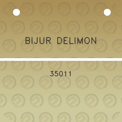 bijur-delimon-35011