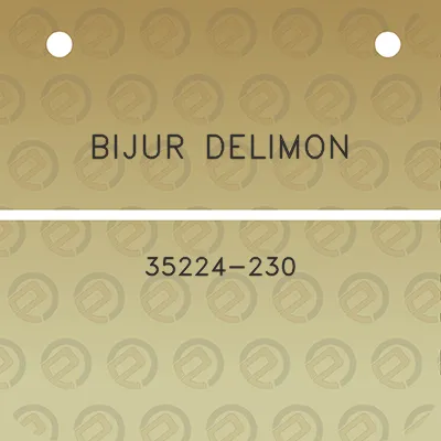 bijur-delimon-35224-230