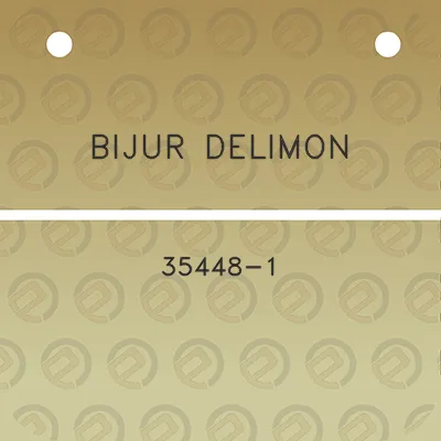 bijur-delimon-35448-1