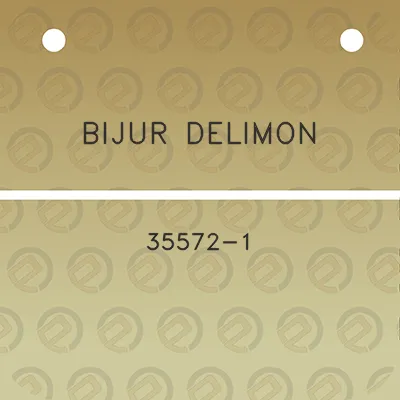 bijur-delimon-35572-1