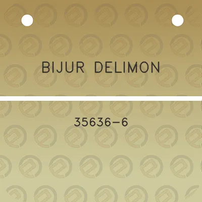 bijur-delimon-35636-6