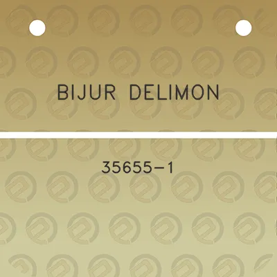 bijur-delimon-35655-1