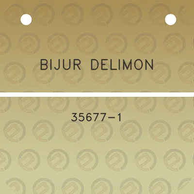 bijur-delimon-35677-1