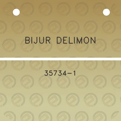 bijur-delimon-35734-1