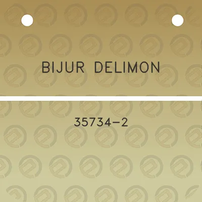 bijur-delimon-35734-2