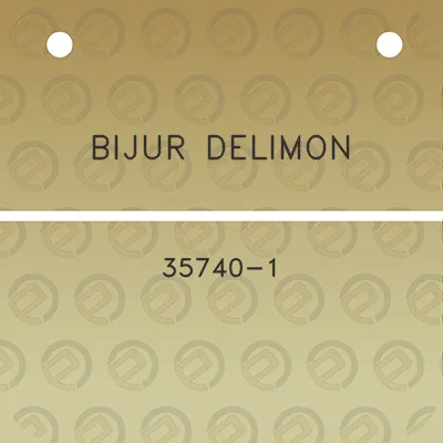 bijur-delimon-35740-1