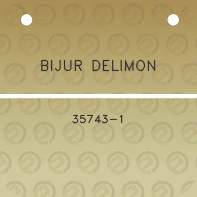 bijur-delimon-35743-1