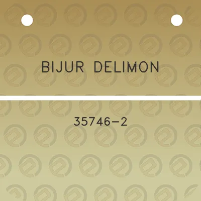 bijur-delimon-35746-2