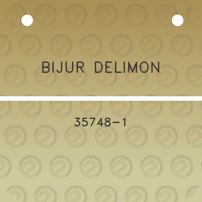 bijur-delimon-35748-1